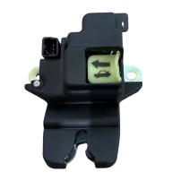 Chapa Maleta Para Hyundai Elantra 2011-2016