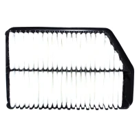 Filtro De Aire Para Hyundai I40 2012-2014 2.0 G4na