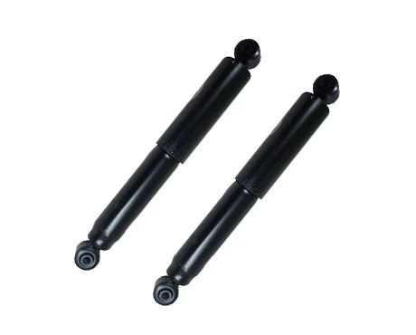 Par Amortiguadores Traseros Renault Kangoo 1999-2009 