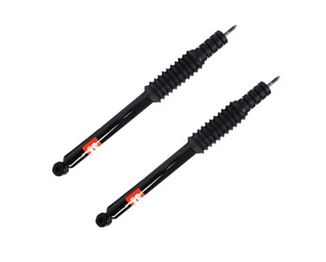 Par Amortiguadores Traseros Renault Clio ii 2000-2008 