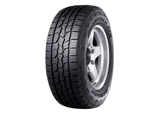 Neumatico 275/55 r20 dunlop at5 113t