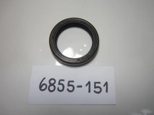 Reten Para FORD F100