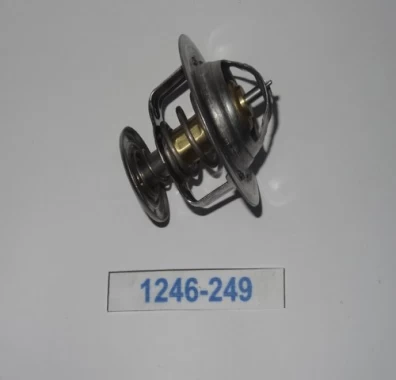 Termostato Para FORD Cargo