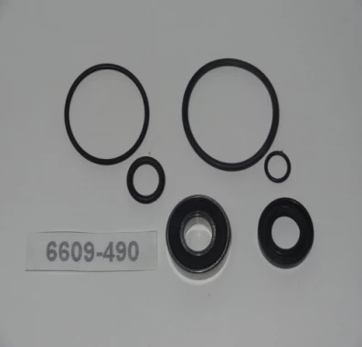 Reparacion Bomba Direccion Hidraulica Para CHEVROLET LUV - Reparacion Bomba Direccion Hidraulica | ClickRepuestos