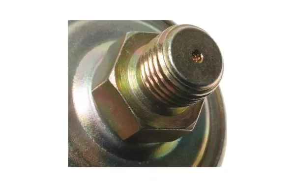 Bulbo De Aceite Para CHEVROLET Apache S10 - Bulbos De Aceite | ClickRepuestos