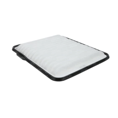 Filtro De Aire Para CHEVROLET EQUINOX 2005-2009 3.4 LNJ