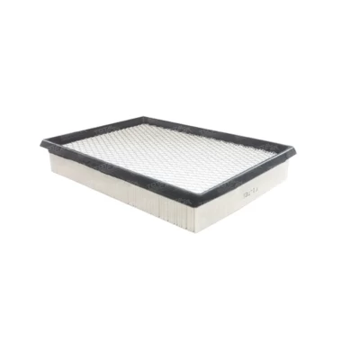 Filtro De Aire Para FORD FOCUS 2005-2011 1.6 SHDB 4 CIL Filtro De Aire Para FORD FOCUS 2005-2011 1.6 SHDB 4 CIL
