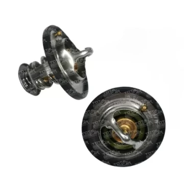 Termostato Para GREAT WALL HAVAL-M4