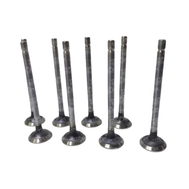 Valvula Admision Para GREAT WALL POER Valvula Admision Para GREAT WALL POER