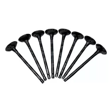 Valvula Admision Para GREAT WALL WINGLE6