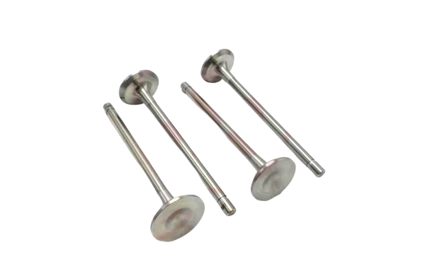 Valvula Admision Para SUZUKI FRONTE 1979-1980 550 F5A SS40