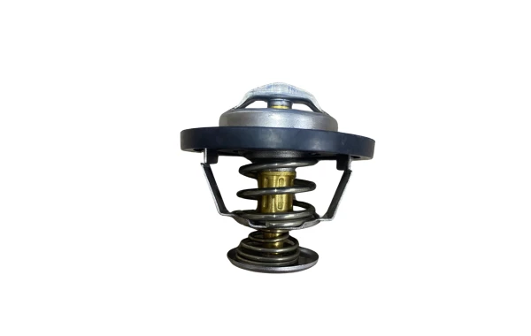 Termostato Para GREAT WALL M4 1.5