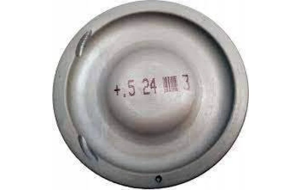 Piston Dmax Captiva07/11 S10 2.4 0.50 Teikin