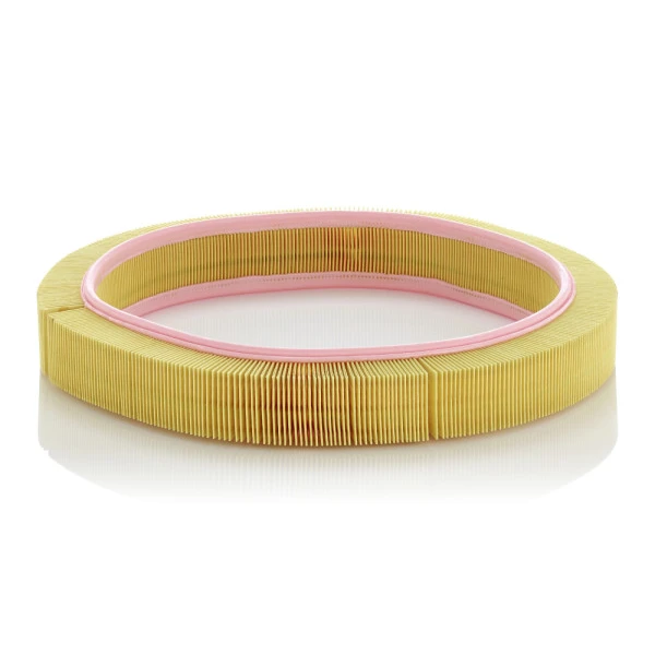 Filtro Aire Para Kaufmann