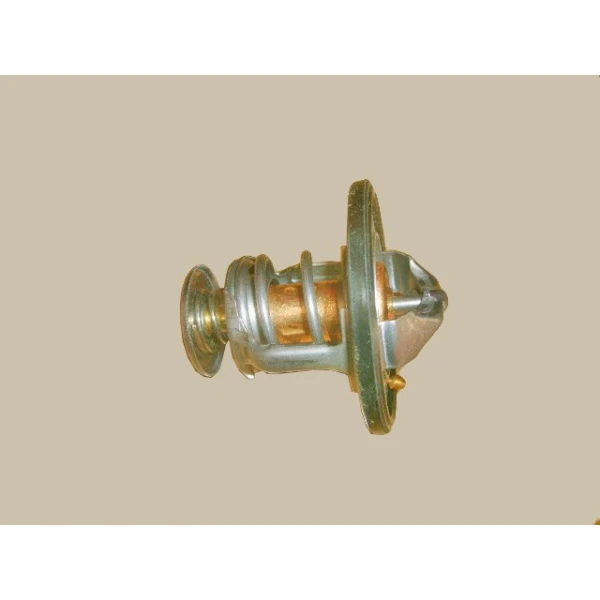 Termostato Para Great Wall Hover H3