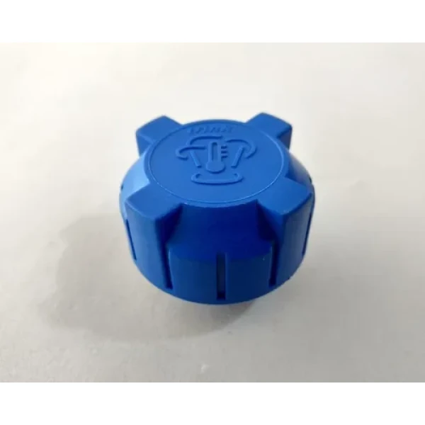 TAPA DEPOSITO AUXILIAR FIAT PUNTO SIENA