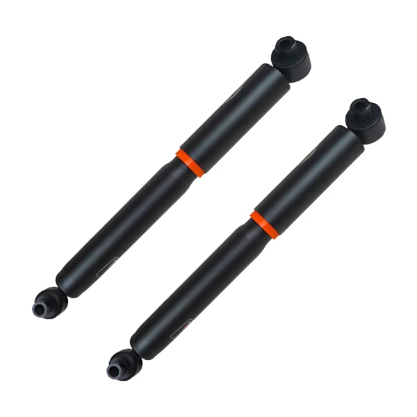 Par Amortiguadores Traseros Renault Scenic 1999-2003 