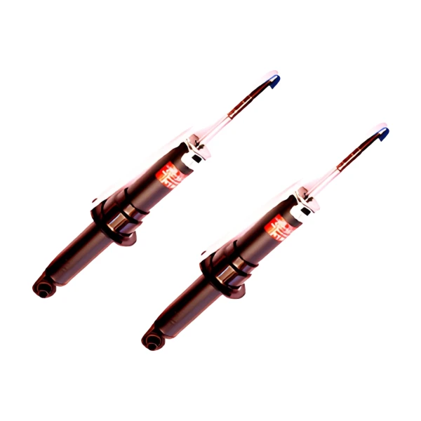Par Amortiguadores Traseros Dodge Journey 2009-2011 