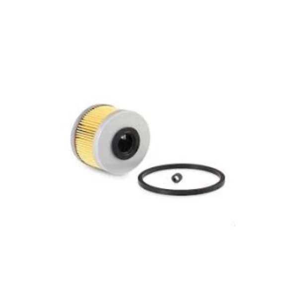 Filtro Petroleo Para Renault Express