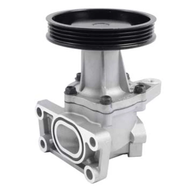 Bomba Agua Dfsk C21-c22-c25 Original